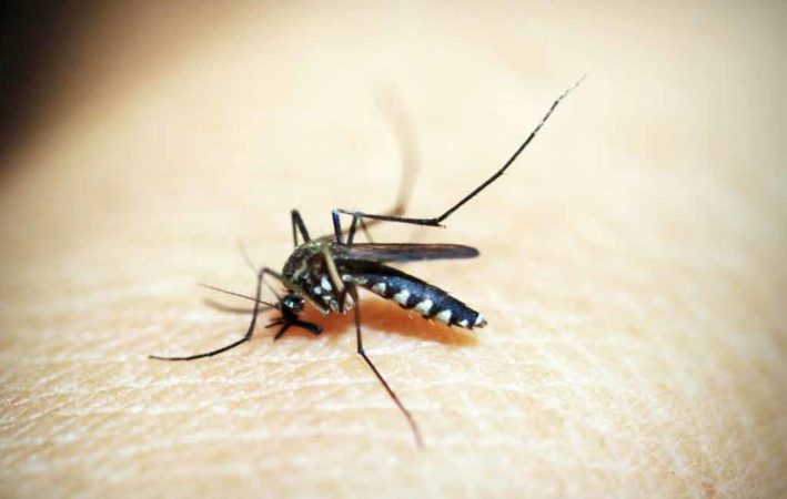 Dengue and typhoid surge in Telangana