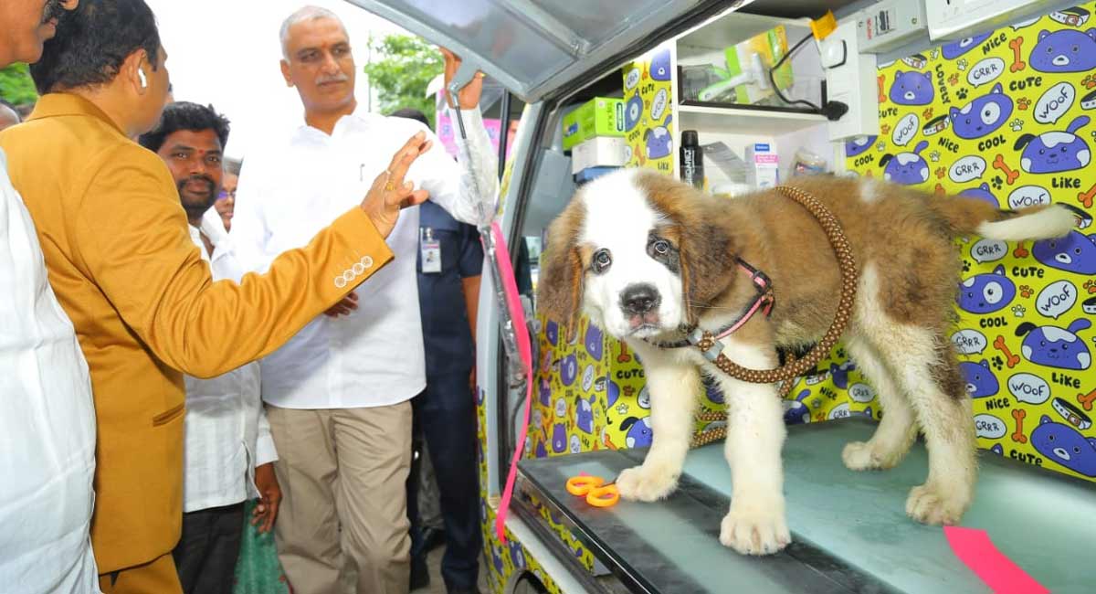 Dalit Bandhu beneficiaries join innovative scheme to provide dog grooming services in Hyderabad