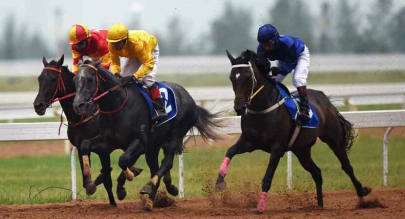 NRI Angel and NRI Infinity shine in trials at Hyderabad Race Course