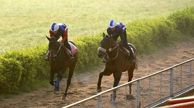 The Strategist and Advance Guard shine in trials at Hyderabad Race Course