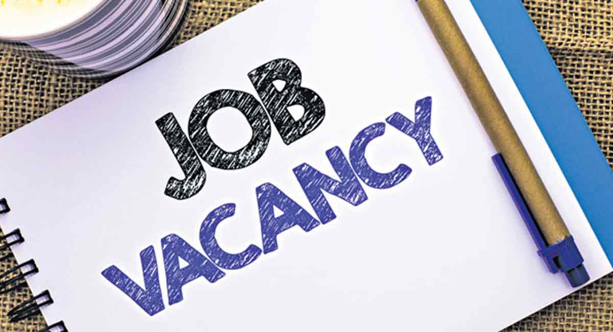 DEET: Job Openings in Retail and Telecom
