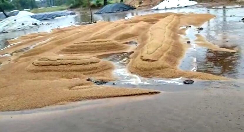 Telangana govt mulling over auction of wet paddy