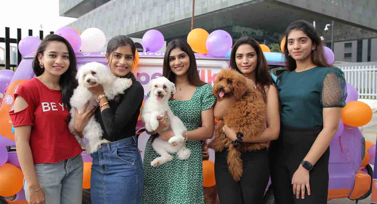 Hyderabad: Petfolk unveils ‘pet van’ to create awareness about issues concerning pets