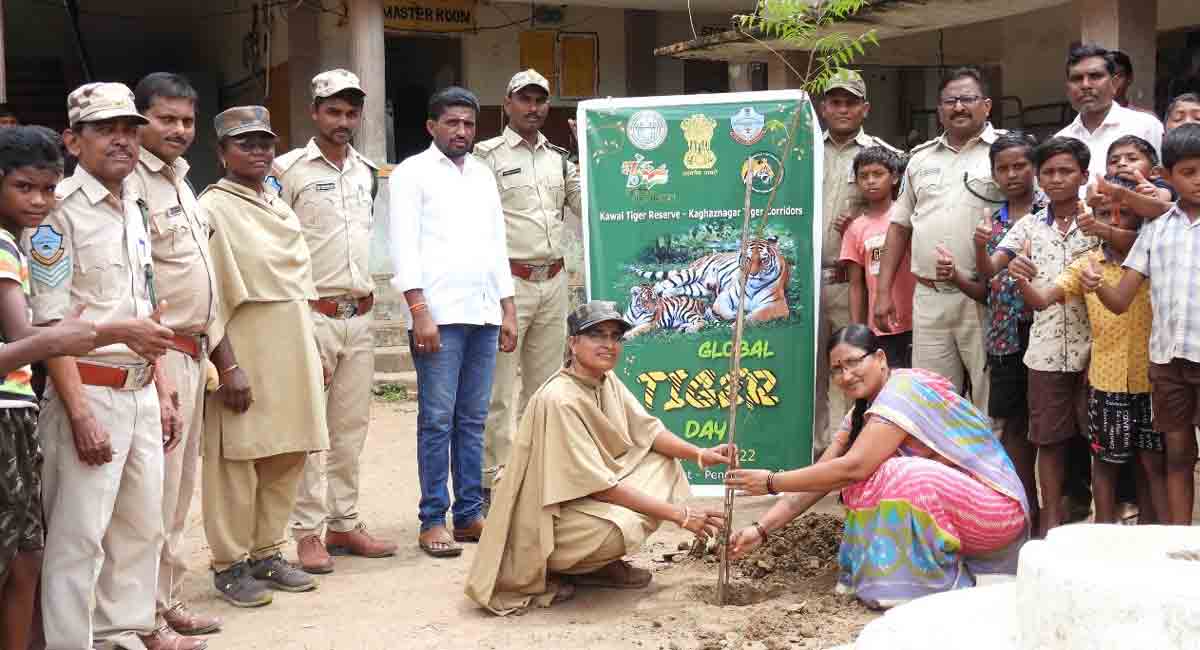 Awareness programmes, plantation mark International Tiger Day in Asifabad