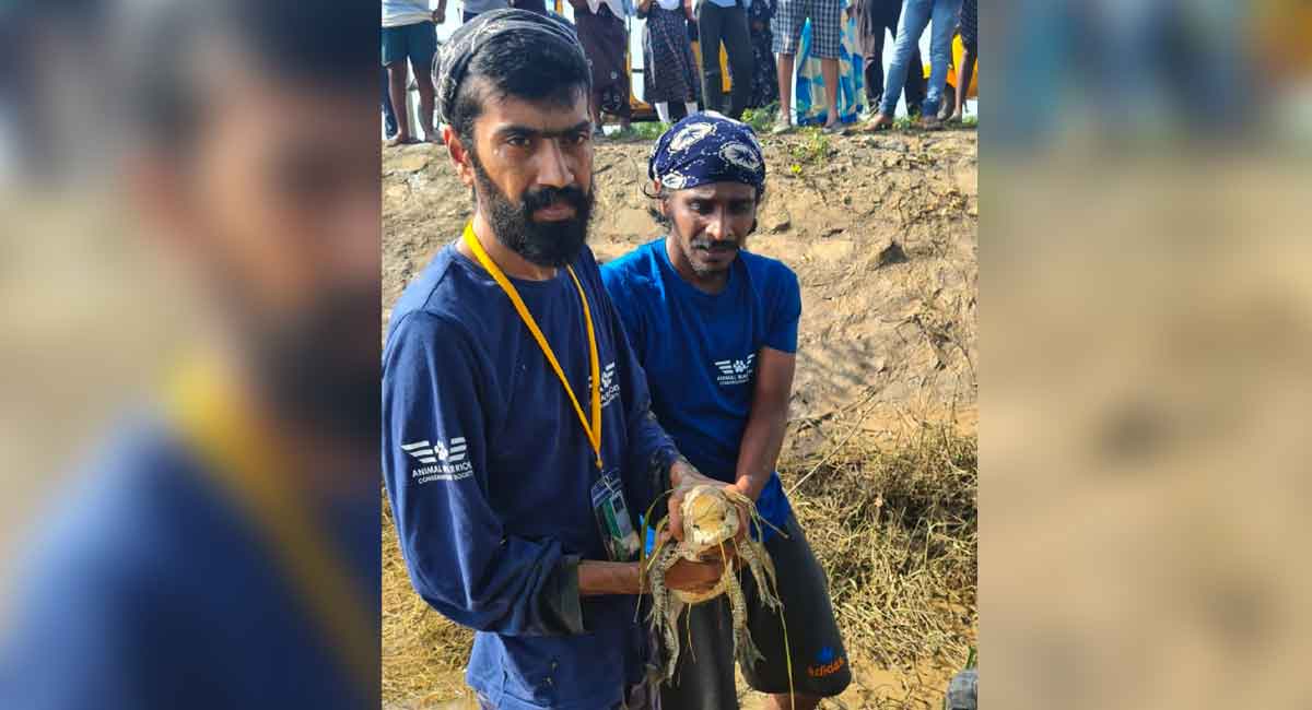 Kothagudem: Animal Warriors volunteers rescue stranded pet, stray animals in flood affected areas