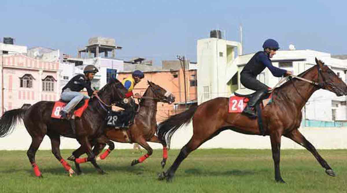 Bugsy, White Roses, Resurgence and Makhtoob shine in trials at Hyderabad Race Course