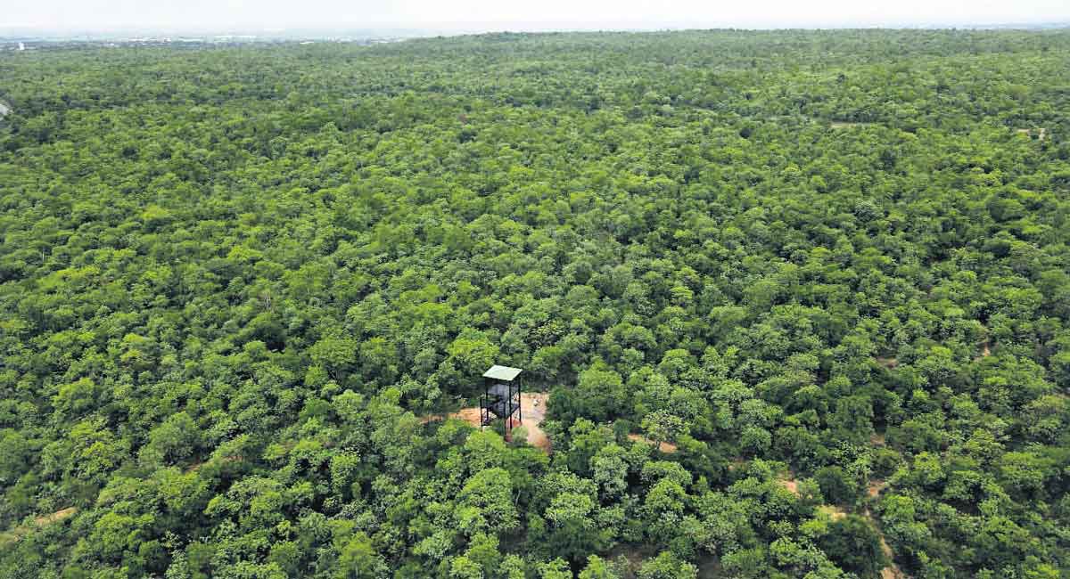Six urban forest parks in Hyderabad to be inaugurated on Thursday