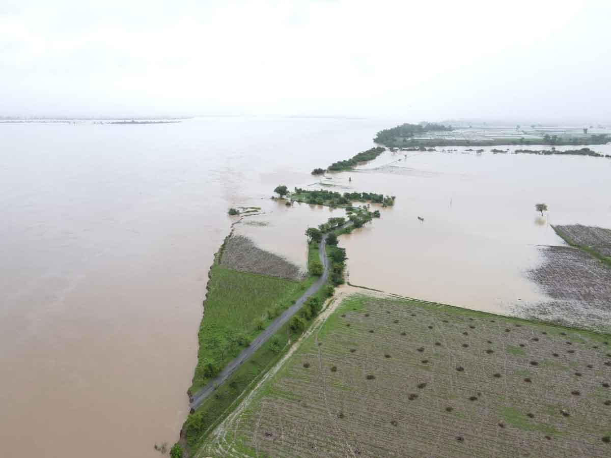 Telangana: Heavy inflows into major projects in Godavari basin keep officials on toes
