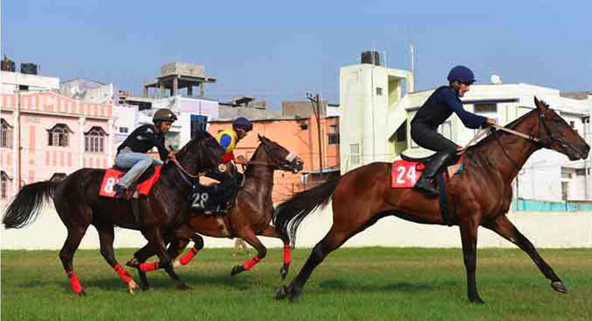 Horse Racing: Smashing Blue fancied for Hyderabad feature