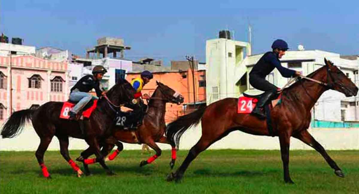 Horse Racing: My Opinion has the edge in Mysore feature