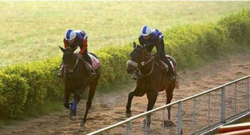 Horse Racing: Blue Origin, Gusty Note, Redeem Our Pledge impress in trials