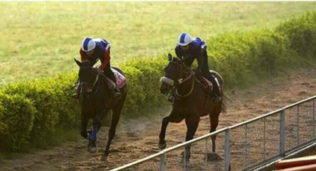 The Sensation, Yaletown, Strategist and Quality Warrior shine in trials at Hyderabad Race Course