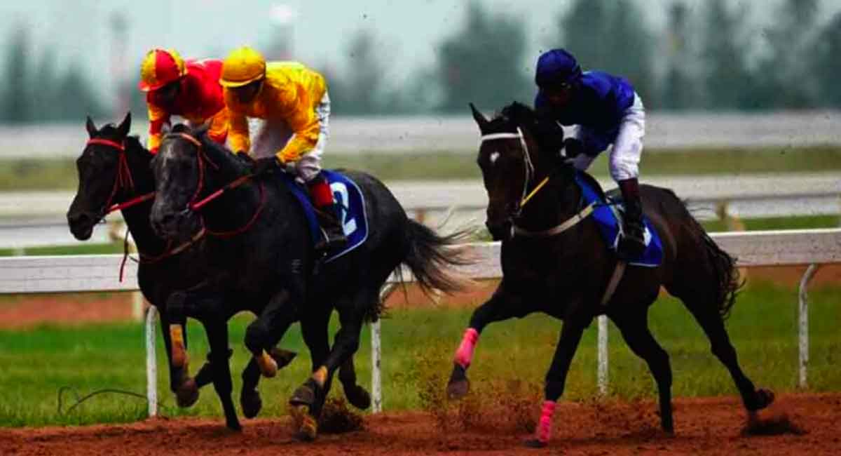 Horse Racing: Petronia fancied for Pune feature