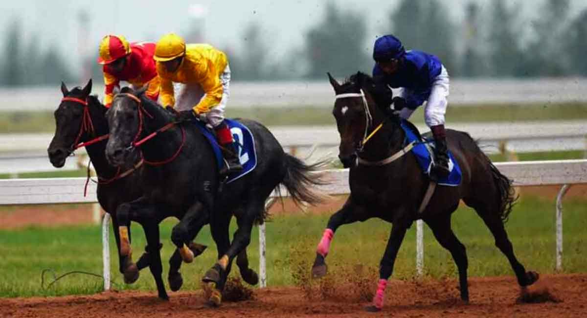 Horse Racing: Enigma has the edge in Pune feature