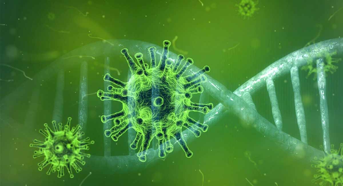 New Langya virus in China infects 35 people, can impair liver & kidney