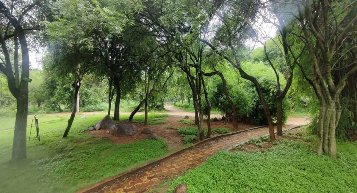 Make plans for weekend picnics at this national park in Hyderabad