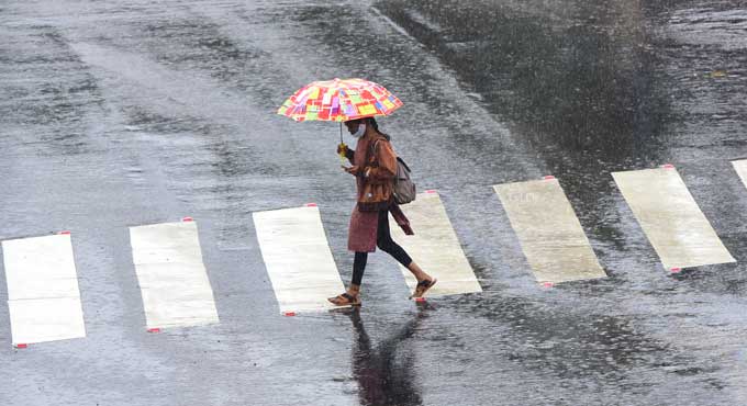 Parts of Asifabad, Mancherial, Adilabad receive moderate rains