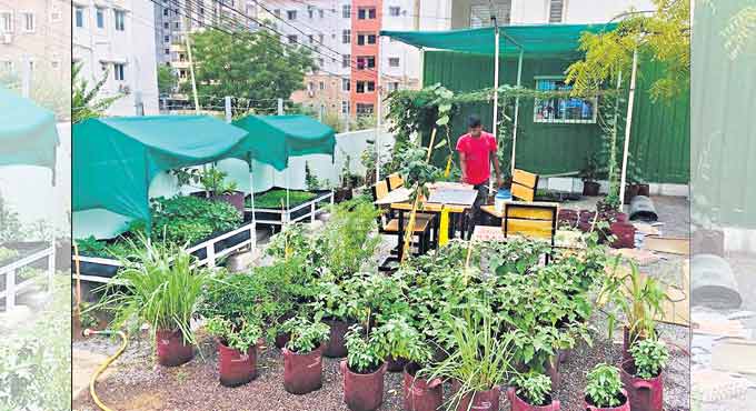 Training programme on urban farming in twin cities