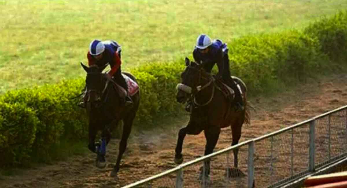 Corfe Castle, Bangor On Dee shine in trials at Hyderabad Race Course