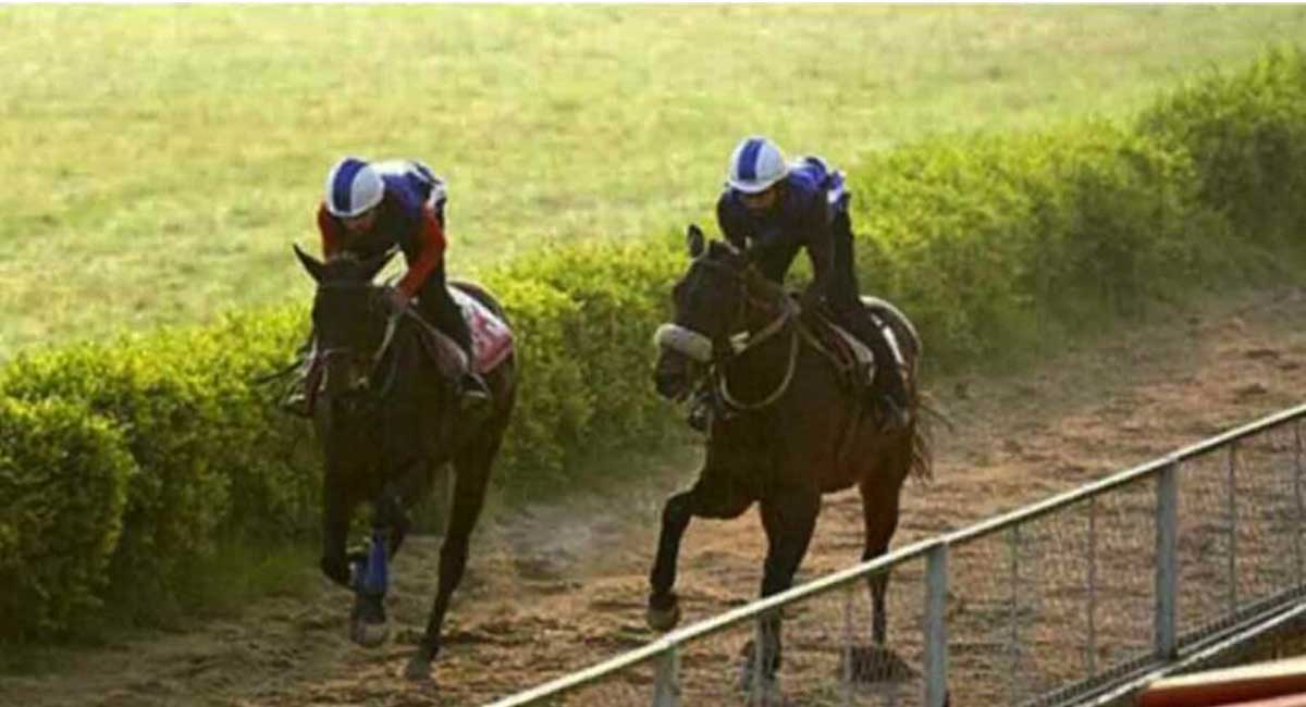 Horse Racing: Peyo has the edge in Bengaluru feature
