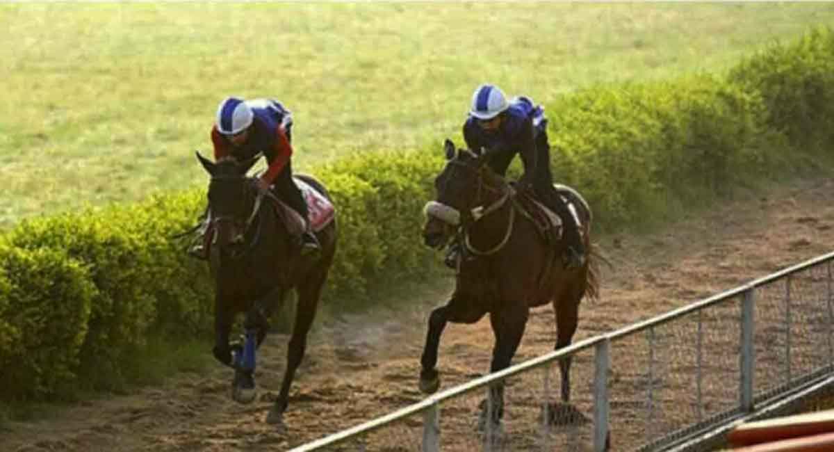 Spectacular Cruise, Mountain Rose, Stag’s Leap shine in trials at Hyderabad Race Course