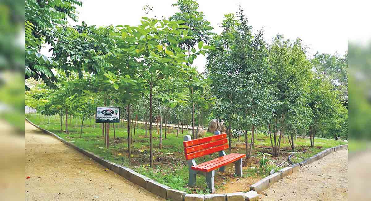 75 Freedom Parks to be built in Hyderabad