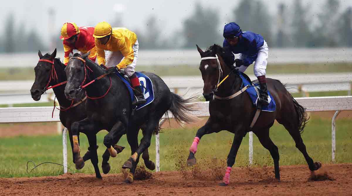 Painted Apache, Galwan, Temptations shine in trials at Hyderabad Race Course