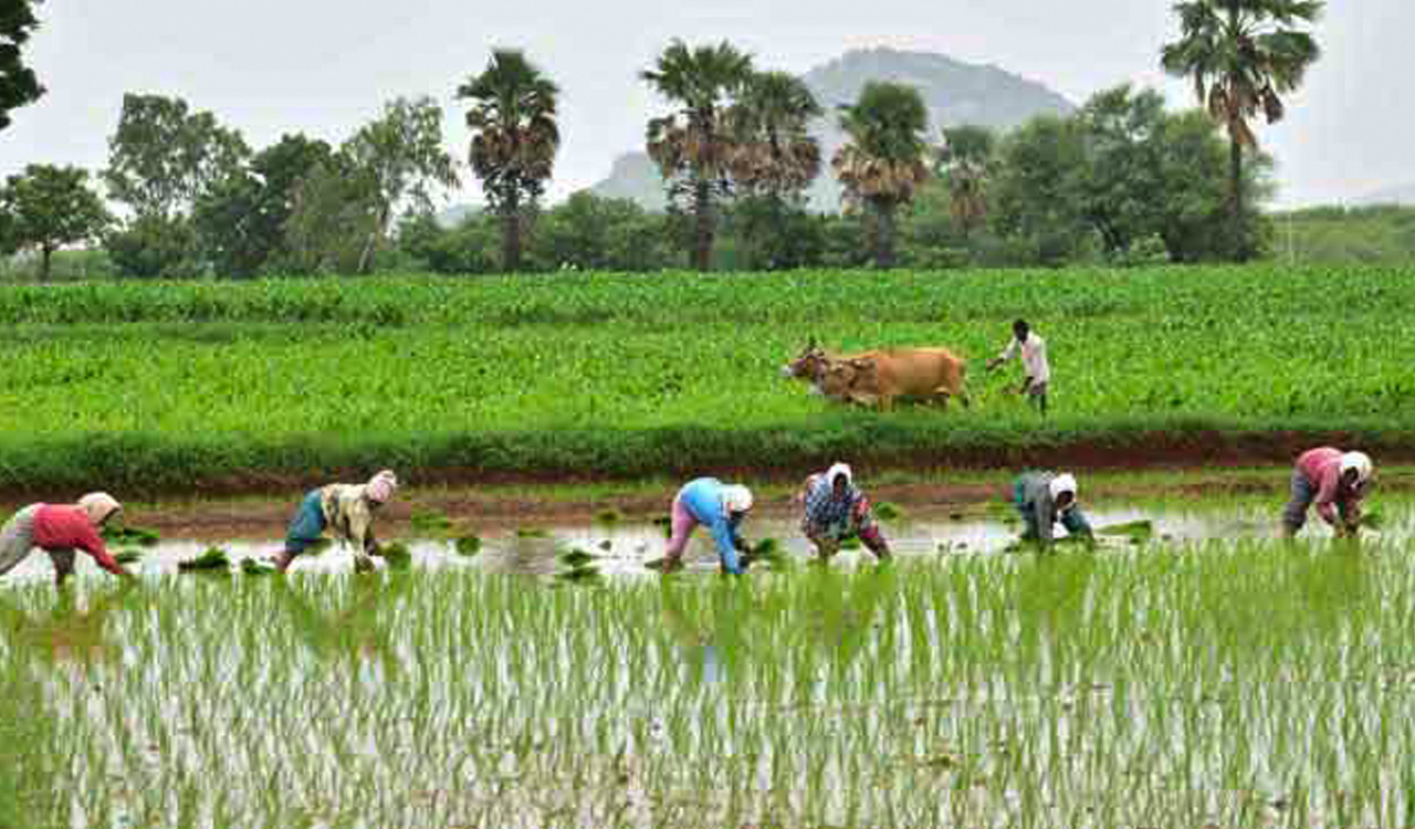 Telangana secures top position, registers double growth in Agriculture