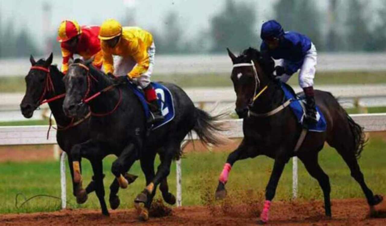 Racing: My Opinion has the edge in Mysore feature