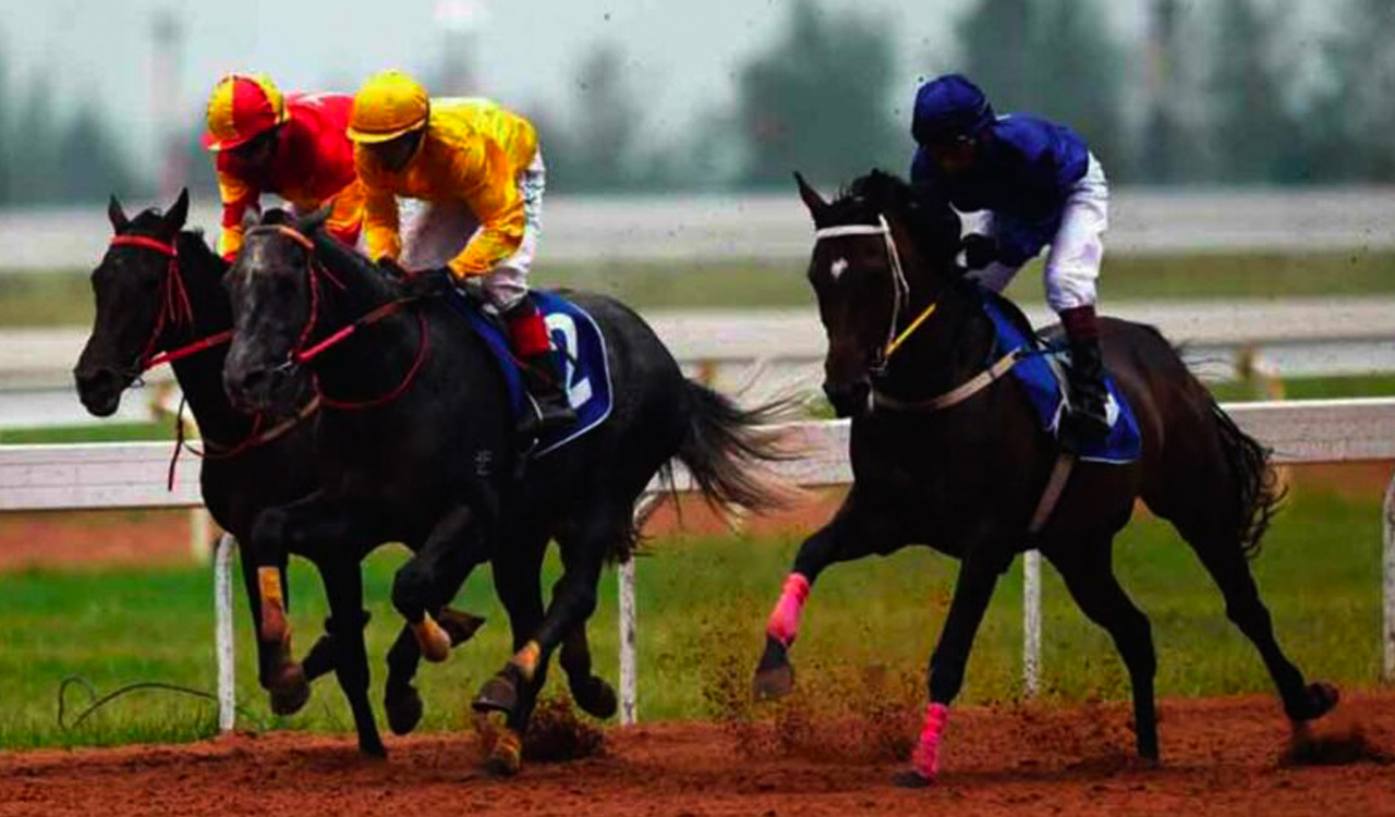 Horse racing: Lagos set for a hat-trick in Hyderabad feature