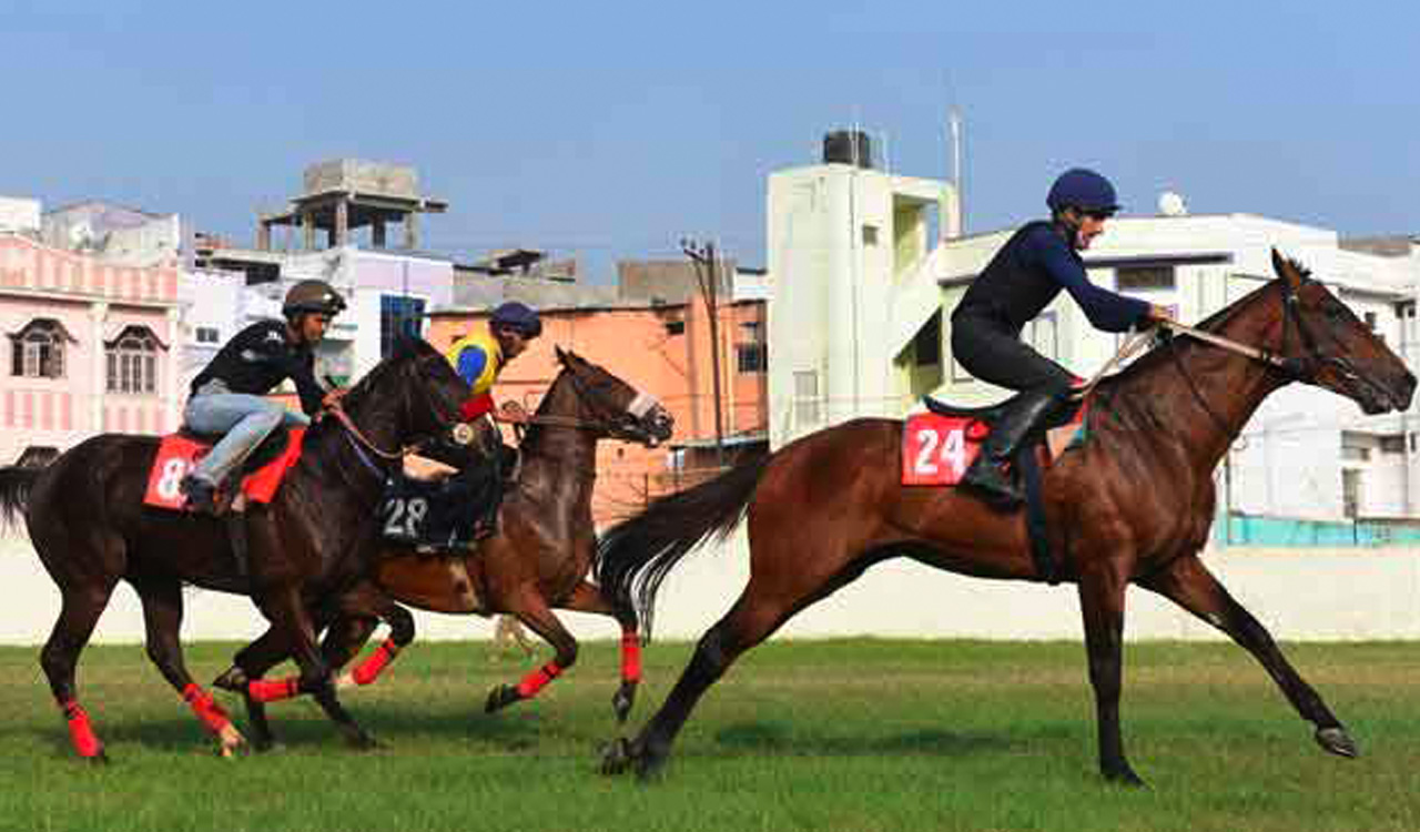 Horse Racing: Theon races to victory in Hyderabad feature