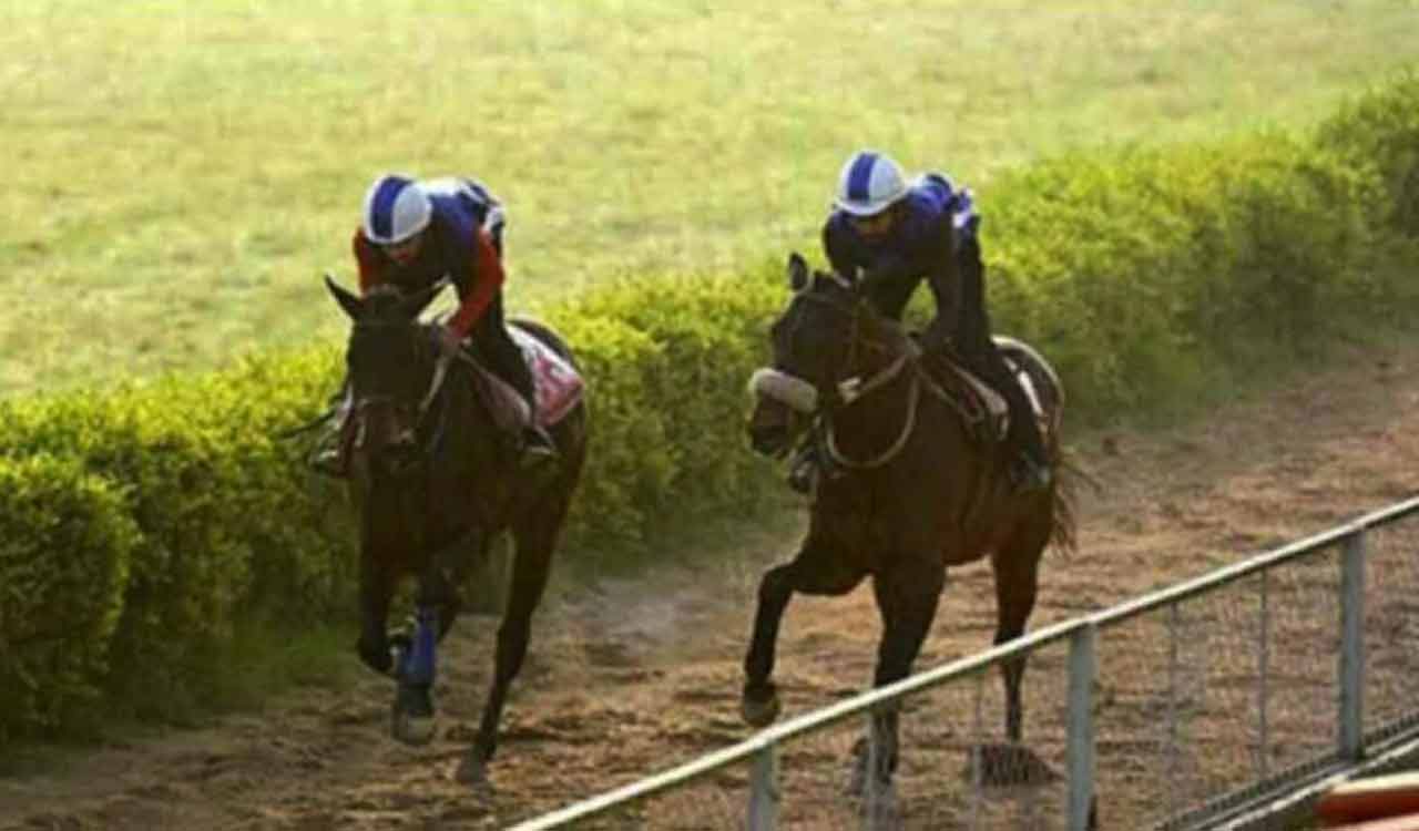 Horse Racing: Watch My Stride fancied for Hyderabad feature