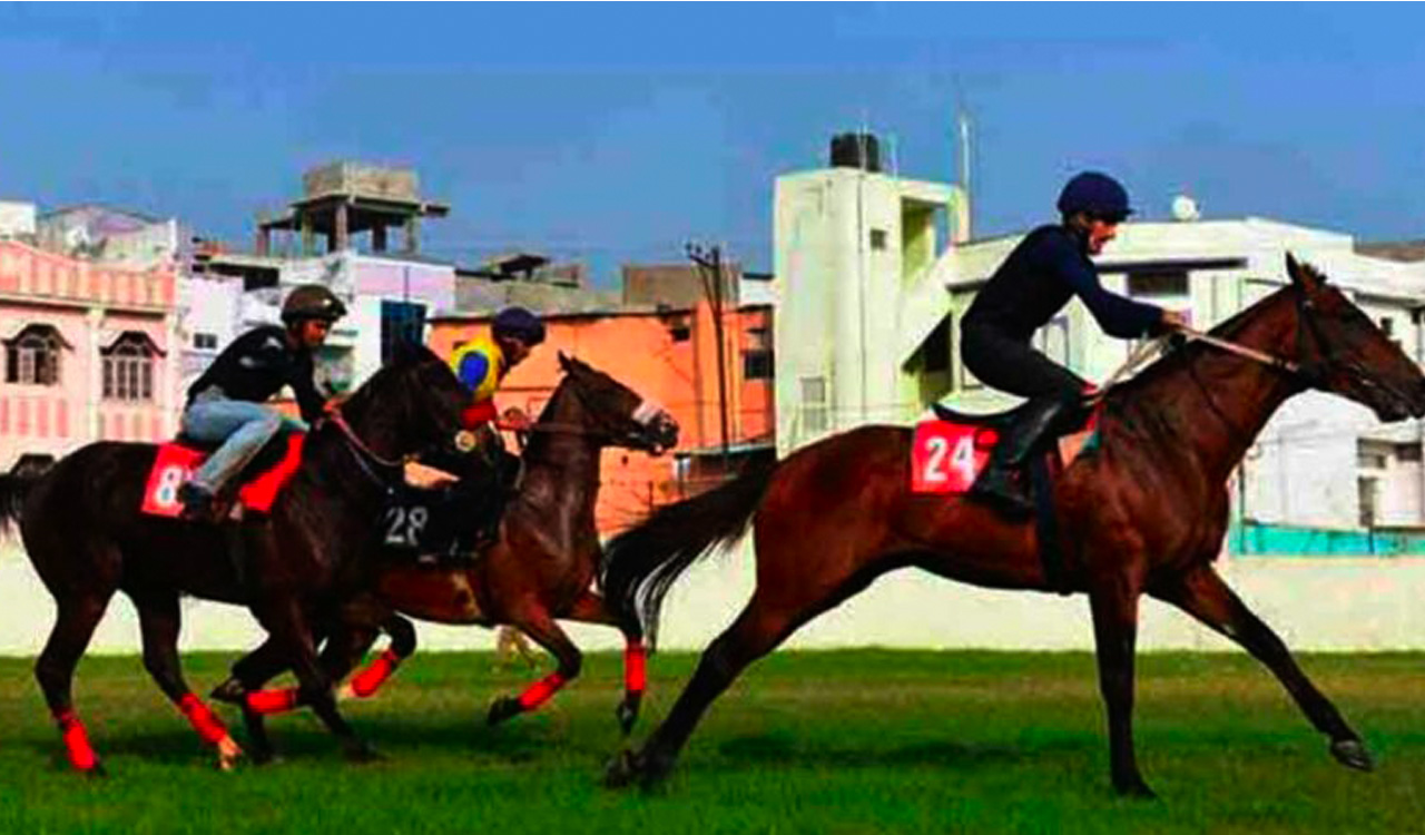 Horse Racing: Beauty Blaze, Vision Of Rose impress in trials at Hyderabad Race Course