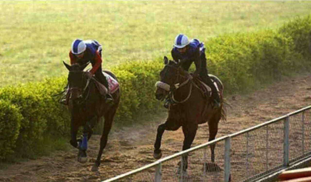 Horse racing: Temptations, Amalfitana shine in trials at Hyderabad Race Course