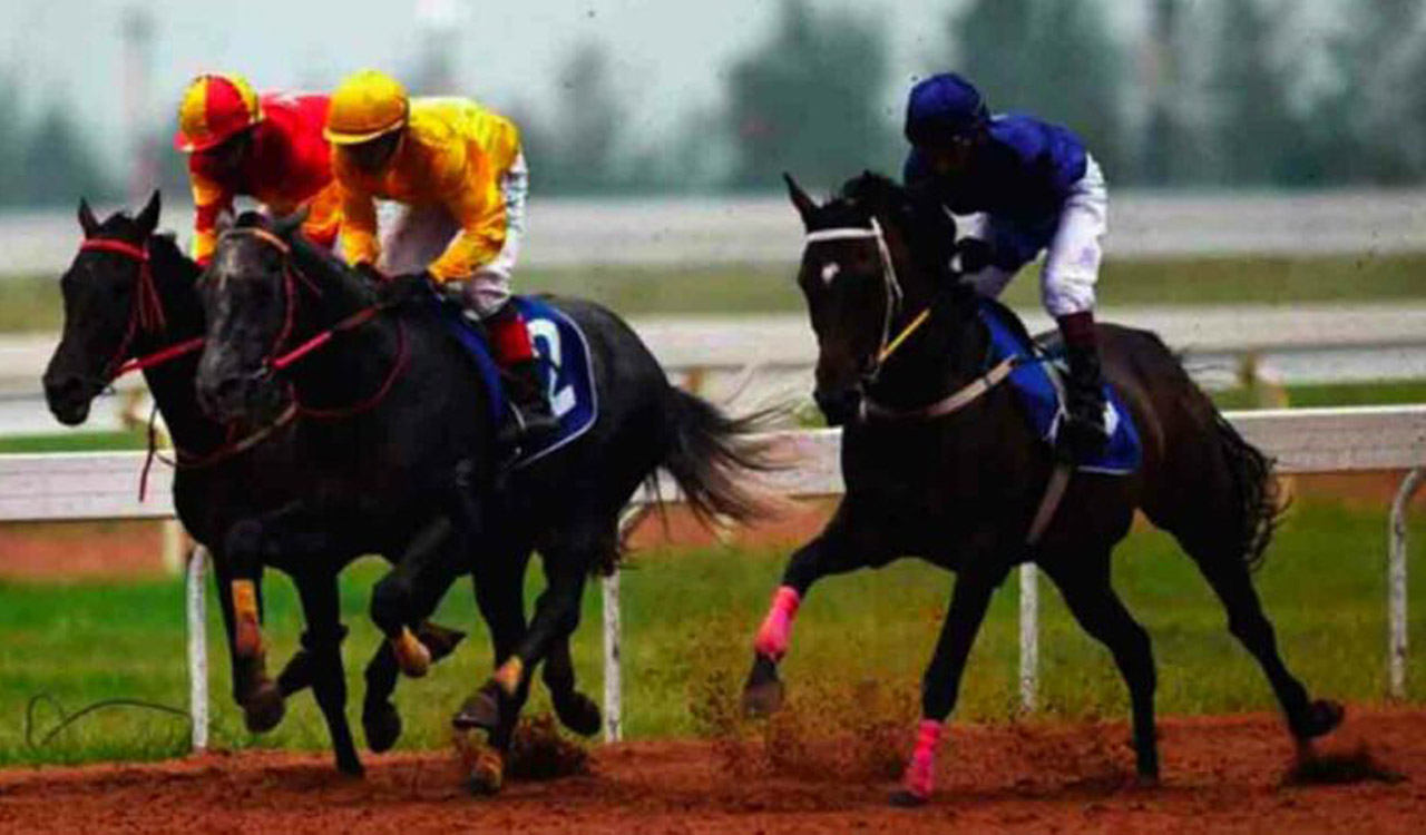 Horse Racing: Arabian Queen fancied for Hyderabad feature