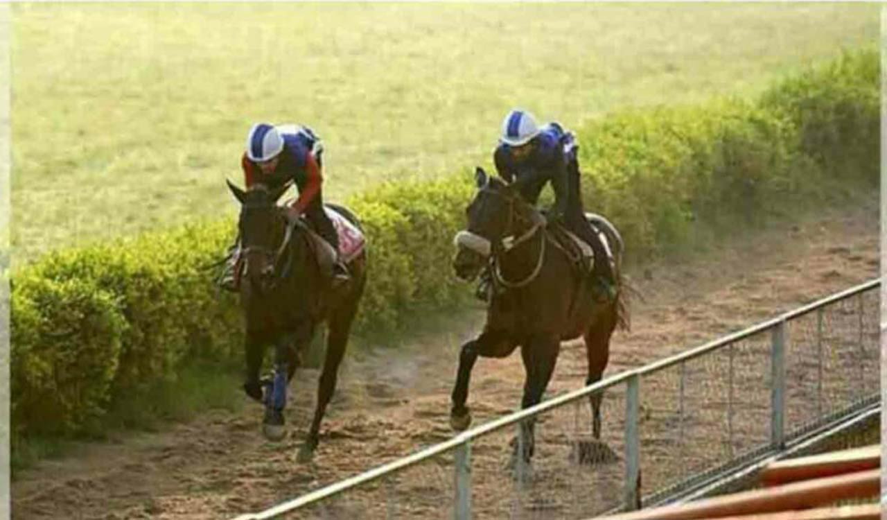 Horse Racing: Jungle Wave fancied for Delhi feature