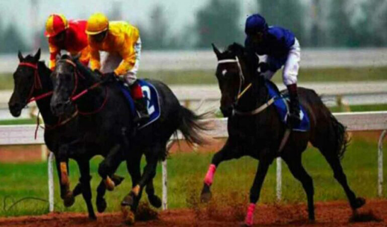 Horse racing: Kolkata has been successful for the function