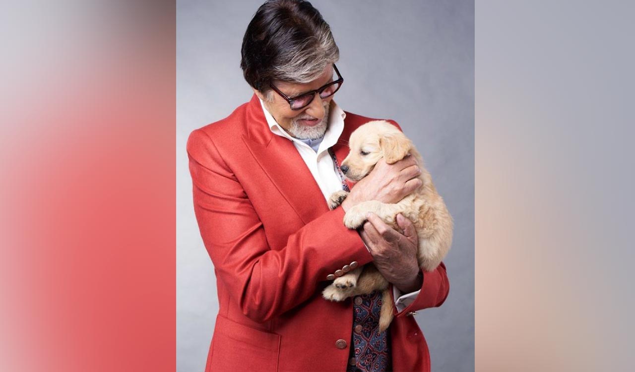 Amitabh Bachchan mourns death of his pet dog, shares emotional note -  Telangana Today