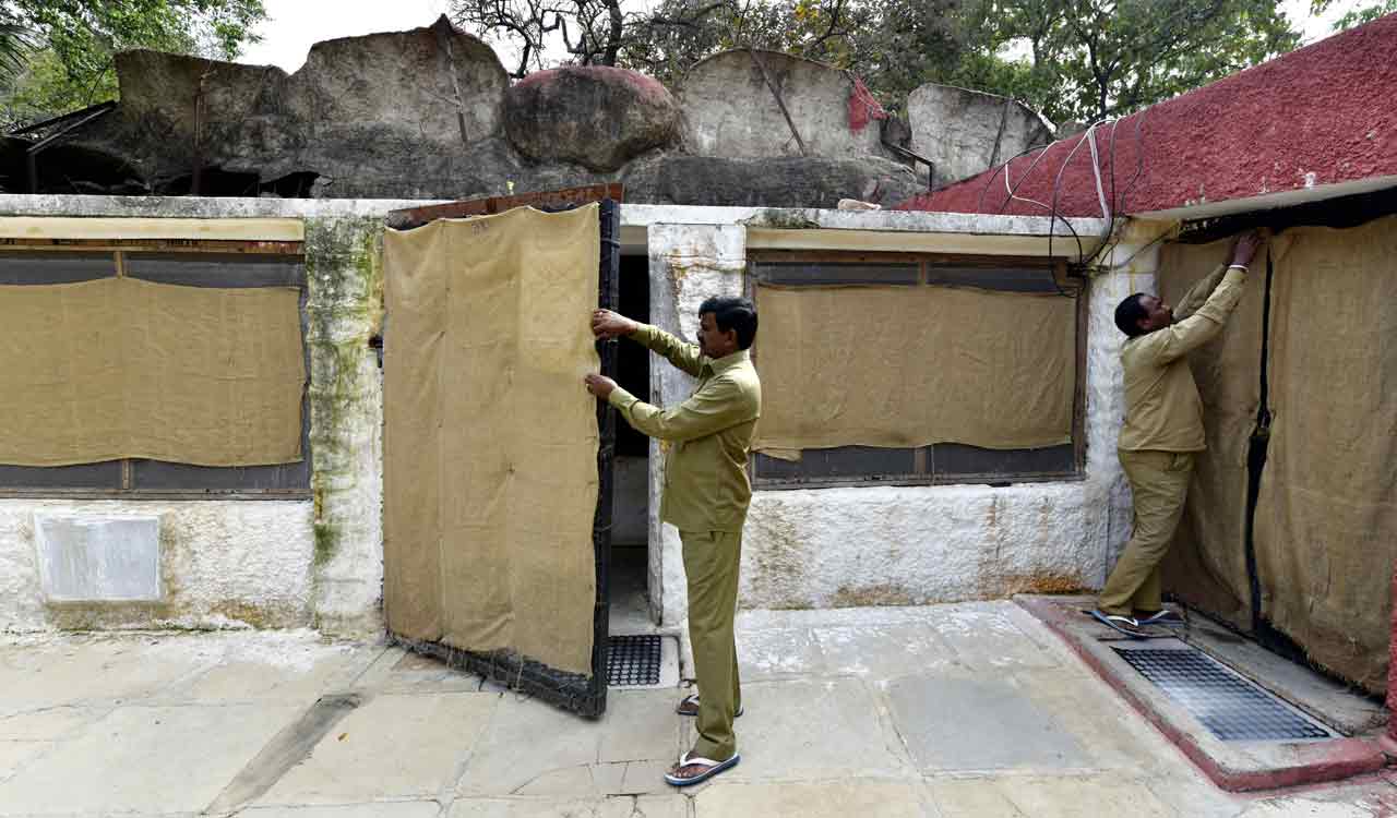 Hyderabad zoo authorities keep animals, birds cozy in winter