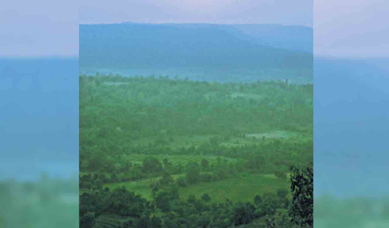 Telangana sees record rise in green cover