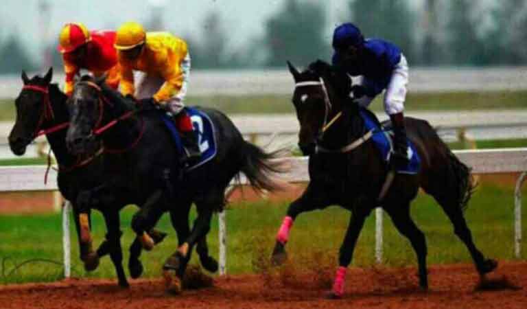 Horse Racing: Ballerina, Scramjet, Bangor On Dee shine in trials