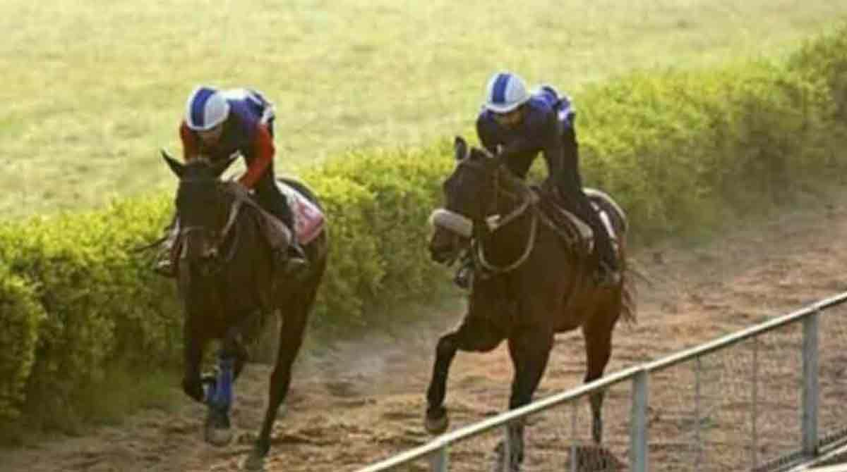 Horse racing: Corfe Castle, Premier Action shines in trials