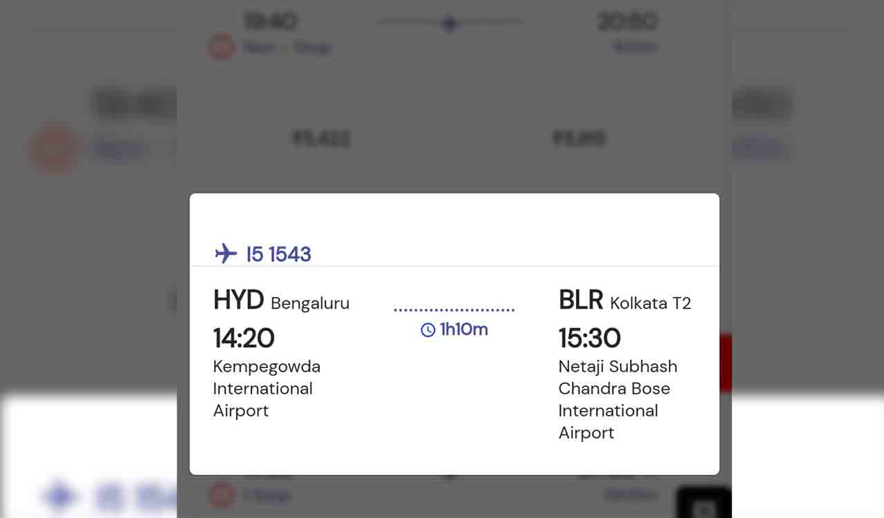 The passenger's airline ticket shows the same destination and departure;  The Internet splits due to a technical glitch