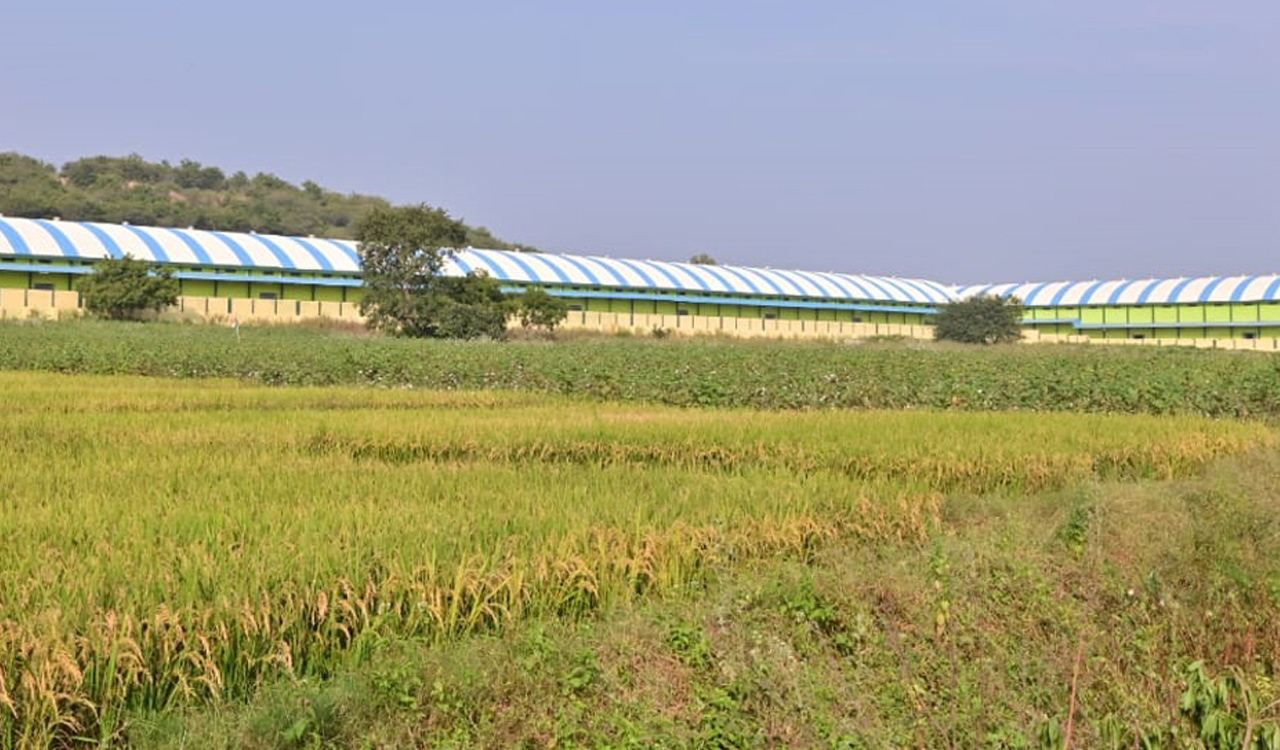 Three warehouses with a capacity of 20,000 MT were set up at Khammam