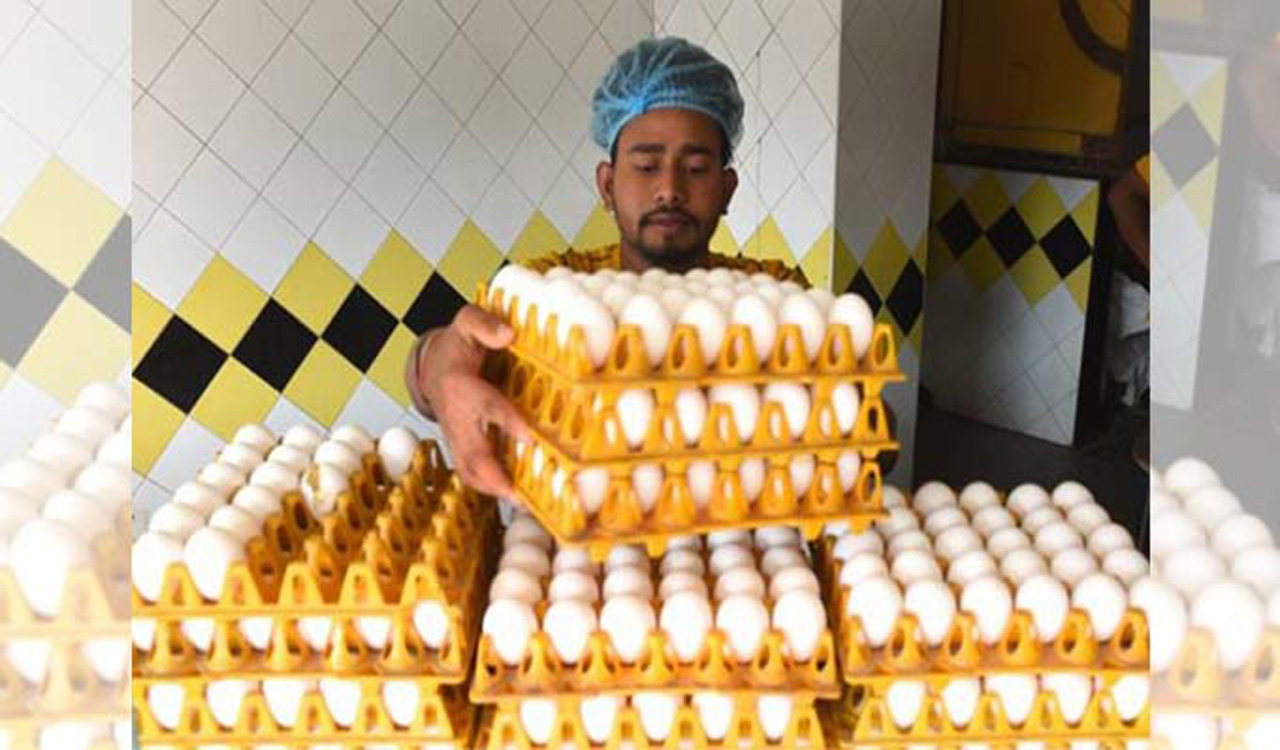 Pakistan: Egg prices soar to 400 PKR per dozen in Lahore