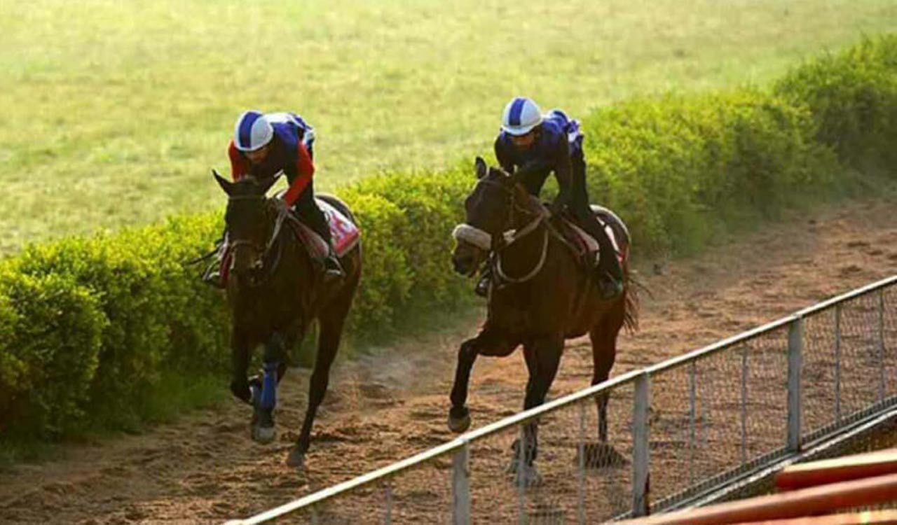 Horse Racing: Success fancied for Kolkata feature