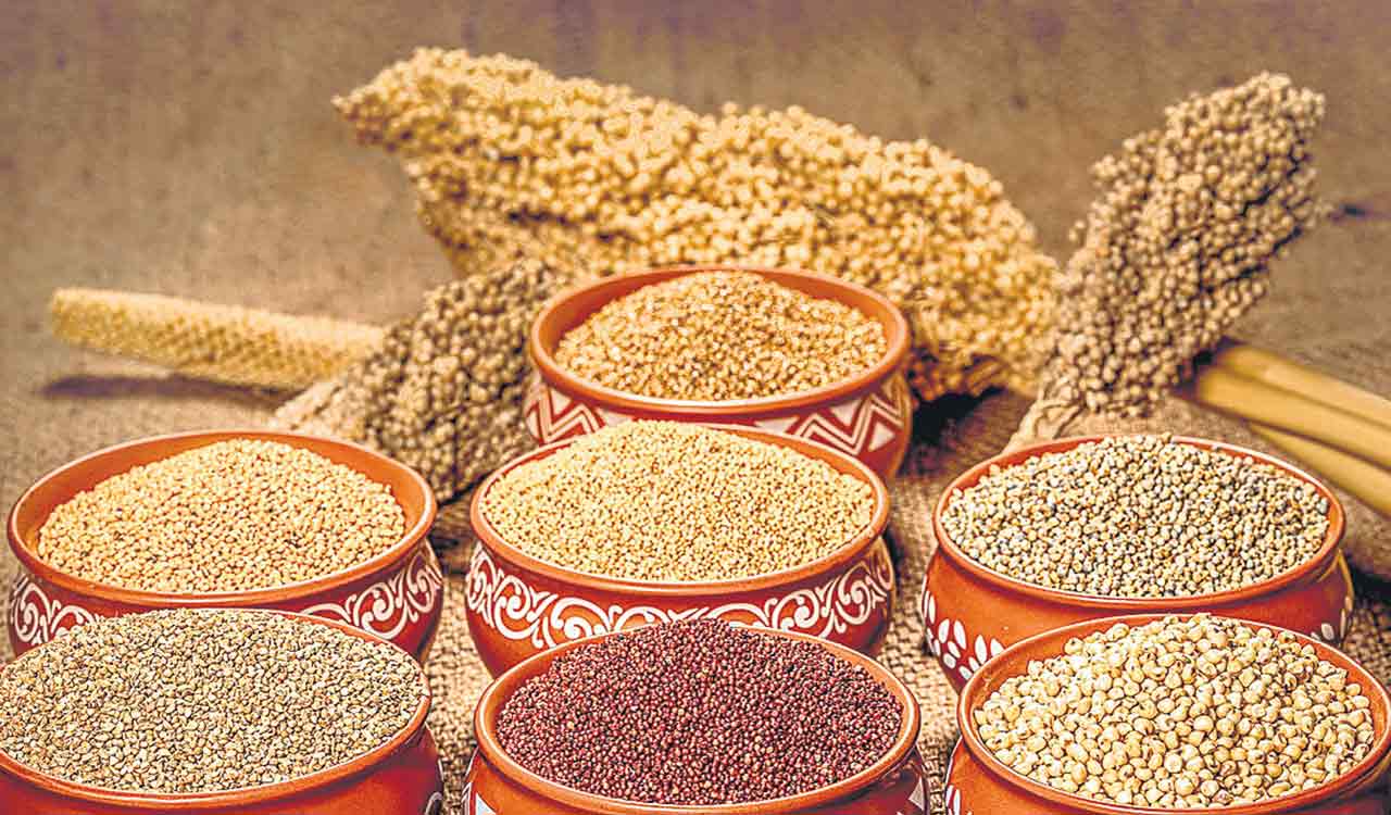 India to be positioned as the ‘Global Hub for Millets’