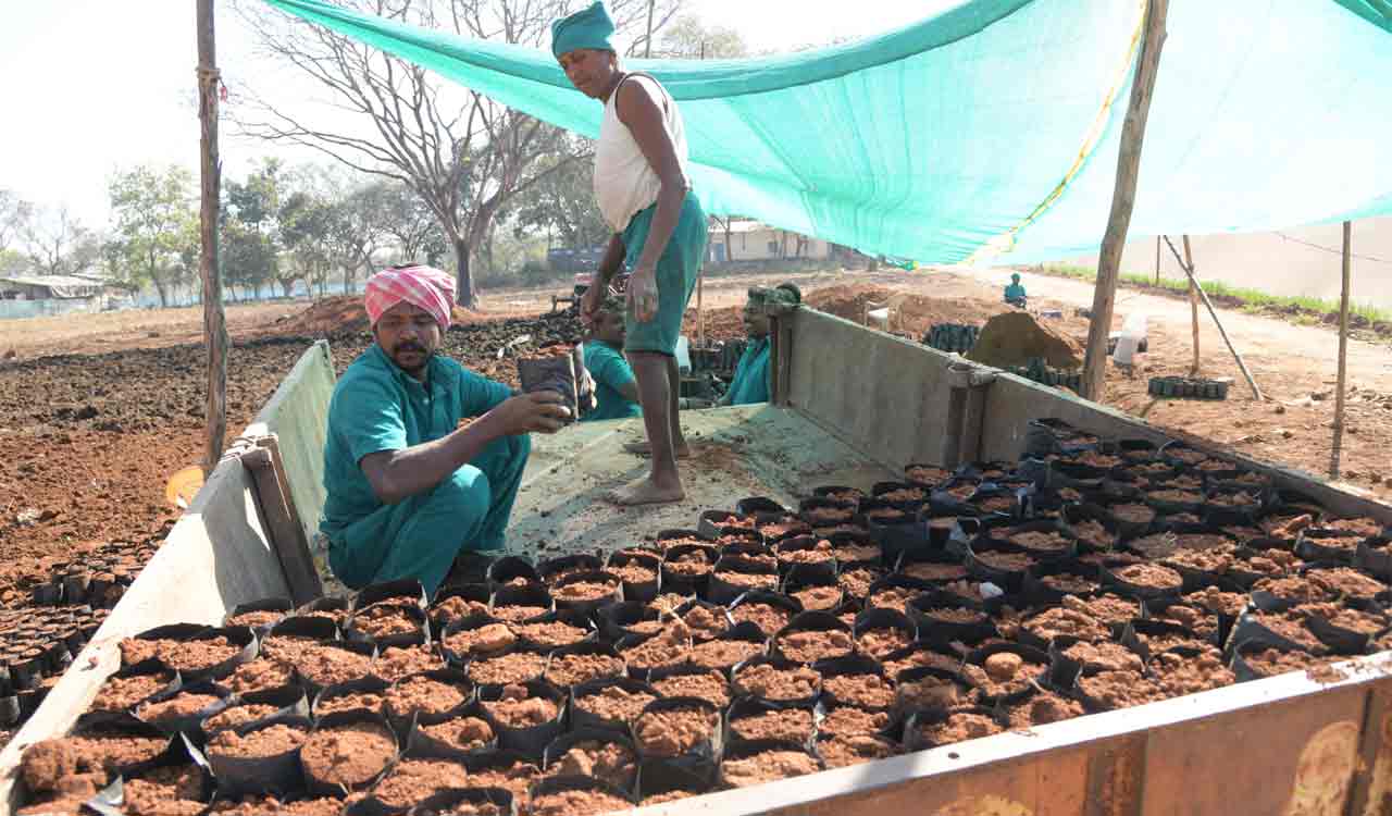 Prisoners to raise oil palm saplings in 21 acres at new Warangal central jail