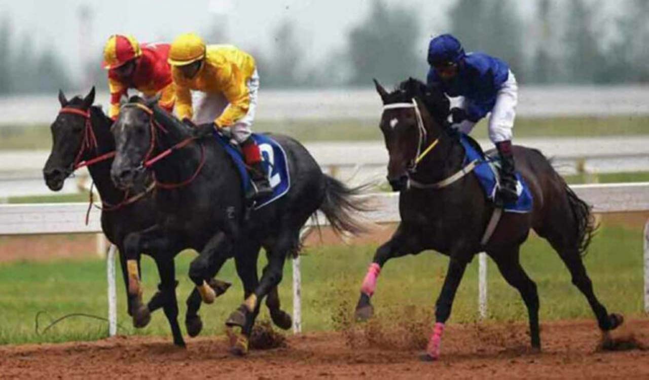 horse-racing-high-command-shines-in-trials-telangana-today