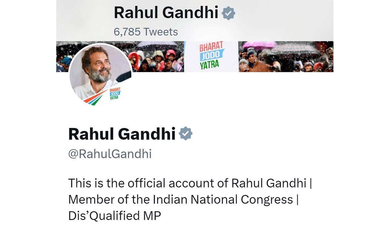 Rahul Gandhi updates Twitter bio to 